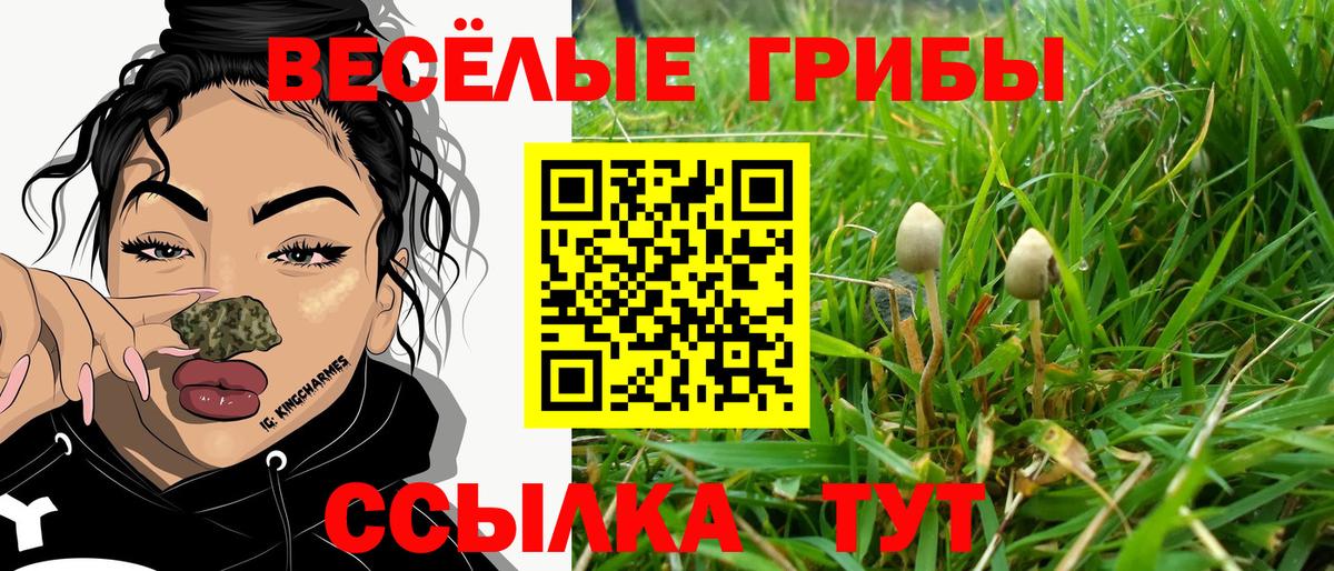 Галлюциногенные грибы мухоморы  Псилоцибиновые грибы Psilocybine cubensis  Вход с VPN  Кировск 