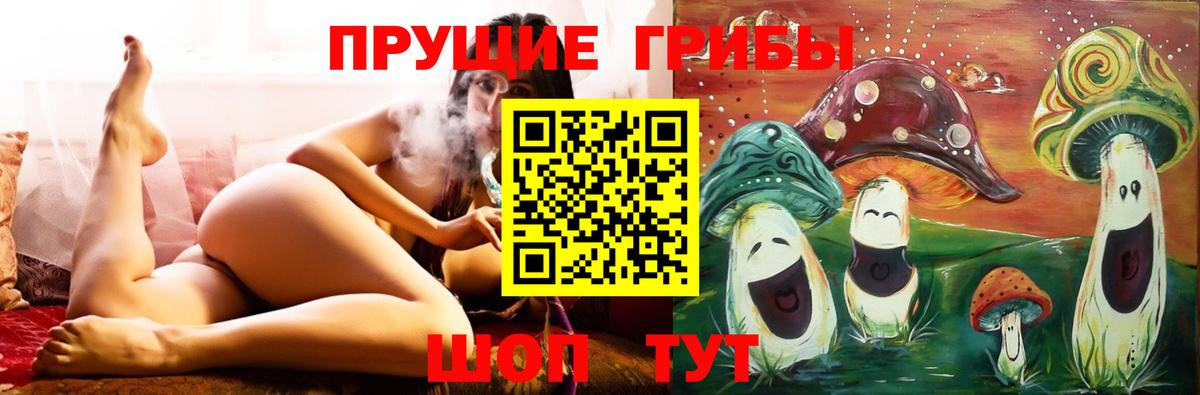Галлюциногенные грибы мухоморы Кировск